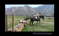 Funny Horse Fails 25 Hd Wallpaper