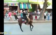 Funny Horse Fails 26 Wide Wallpaper