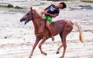 Funny Horse Riding Fails 14 Desktop Background