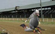 Funny Horse Riding Fails 15 Hd Wallpaper