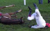 Funny Horse Riding Fails 16 Free Hd Wallpaper