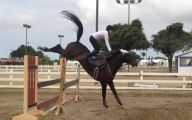 Funny Horse Riding Fails 21 Hd Wallpaper