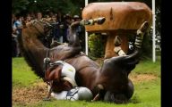 Funny Horse Riding Fails 7 High Resolution Wallpaper