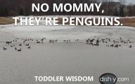 Funny Kids Stuff 6 Free Hd Wallpaper