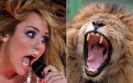 Funny Miley Cyrus Celebrity 29 Desktop Background