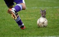 Funny Soccer Fails 2 Free Hd Wallpaper