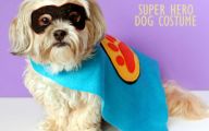 Funny Superhero Costumes 12 Cool Wallpaper