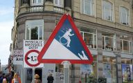 Funny Traffic Signs 24 Hd Wallpaper