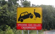 Funny Traffic Signs 8 Hd Wallpaper