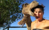 Funny Ugly Selfies 1 Cool Hd Wallpaper