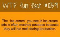 Funny Weird Facts 12 Cool Wallpaper