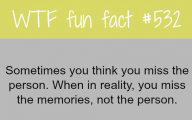 Funny Weird Facts 16 Desktop Wallpaper