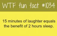 Funny Weird Facts 28 High Resolution Wallpaper