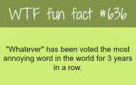 Funny Weird Facts 39 Desktop Background