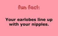 Funny Weird Facts 8 Cool Wallpaper