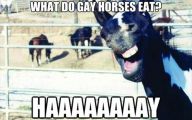 Horse Bloopers Funny 4 Desktop Wallpaper