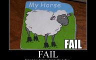 Horse Fail Photos 21 Cool Hd Wallpaper