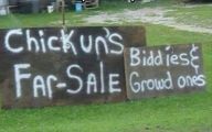 Redneck Funny Signs 3 Free Wallpaper