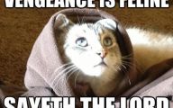 Funny Memes 30 Free Hd Wallpaper